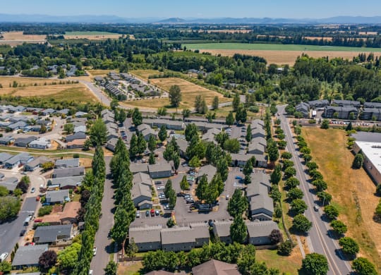 an aerial view of a neighborhood with houses and trees