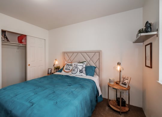 a bedroom with a bed and a closet
