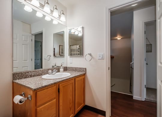 a bathroom with a sink and mirror