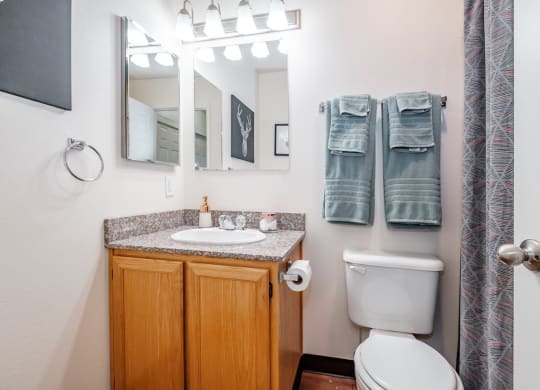 a bathroom with a toilet sink and mirror