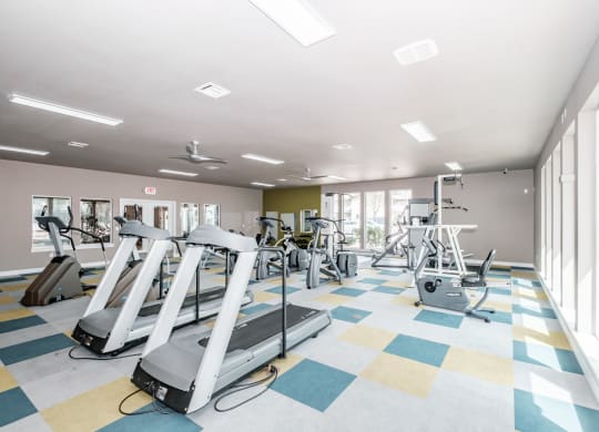 a large fitness room with treadmills and other exercise equipment