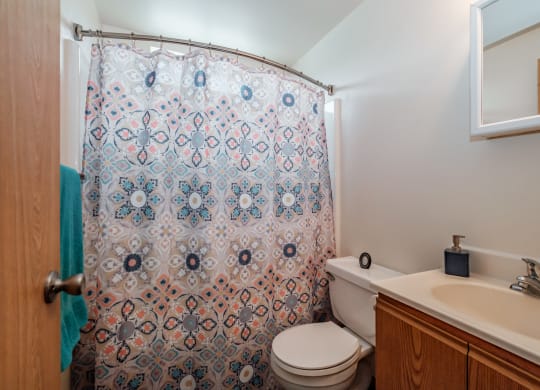 a bathroom with a white sink and toilet next to a shower with a blue and red shower