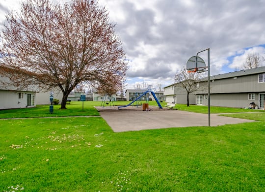 a playground with a basketball hoop and a hoop in the middle of a grassy area