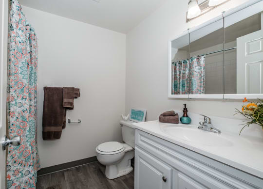 a bathroom with a white sink and toilet next to a shower with a curtain