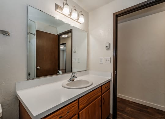 a bathroom with a sink and a mirror