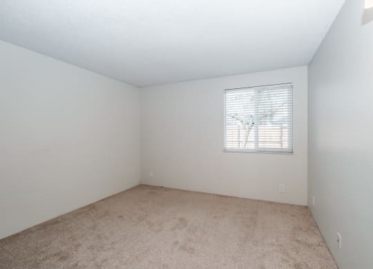 a bedroom with white walls and carpet