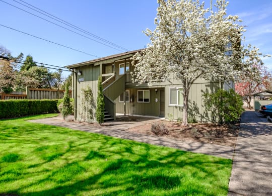 a green two story house with a tree in front of it