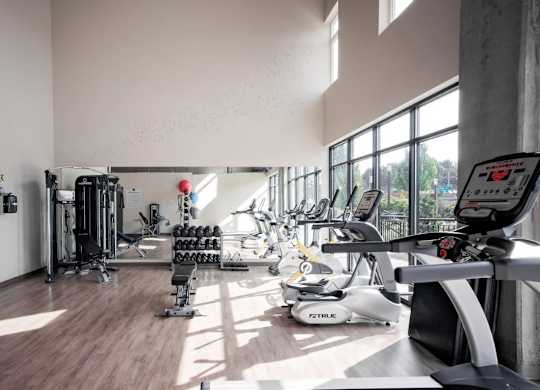A gym with a variety of equipment including treadmills, weights, and exercise machines.