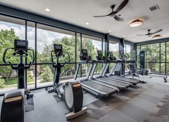 a row of treadmills and elliptical trainers in a fitness room with floor to ceiling