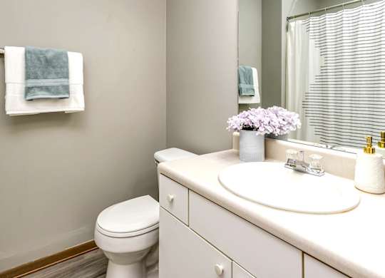 A white toilet sits next to a white sink in a bathroom.