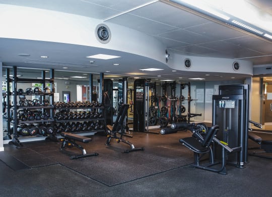 a workout room with weights and cardio equipment in a gym on a cruise ship