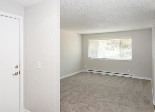 a bedroom with a carpeted floor and a large window