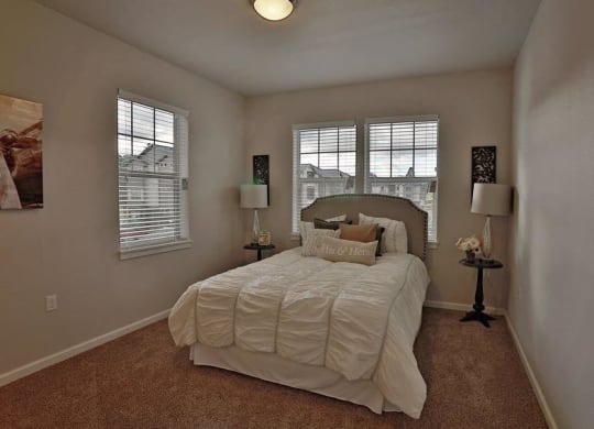 a bedroom with a large bed and two windows
