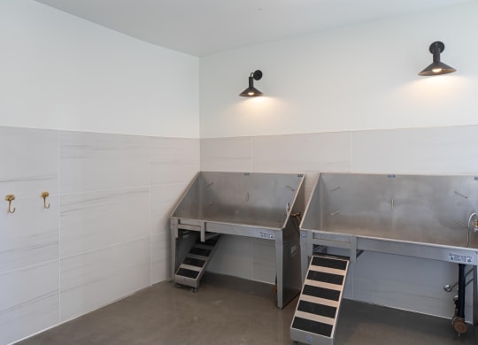 The Gabe Apartments in Portland, Oregon Dog Wash