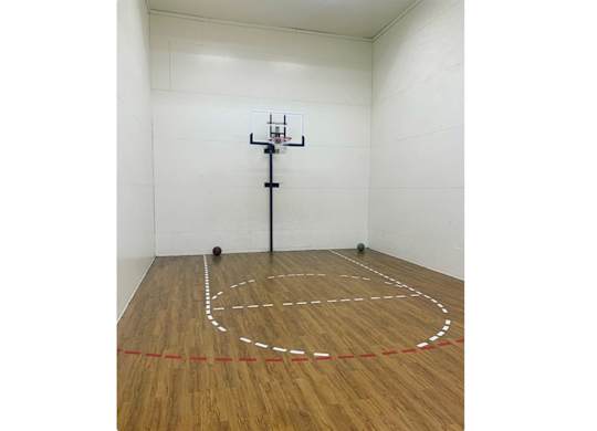 A basketball court with a hoop and a ball on the floor.