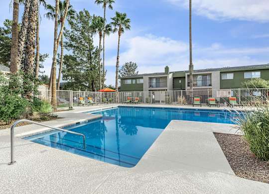 A swimming pool surrounded by palm trees and a fence.