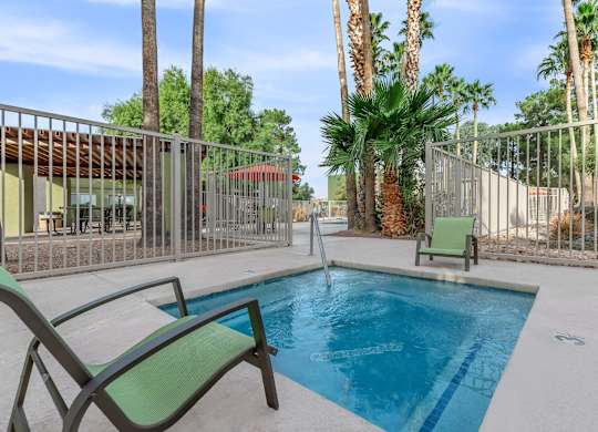 A pool surrounded by palm trees and a fence.
