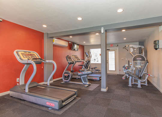 A gym with treadmills, elliptical machines, and a weight machine.