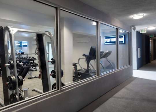 A gym with a row of treadmills and a row of weight machines.