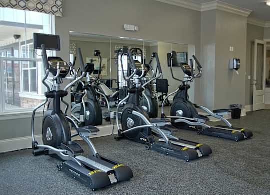 A gym with a row of stationary bikes.