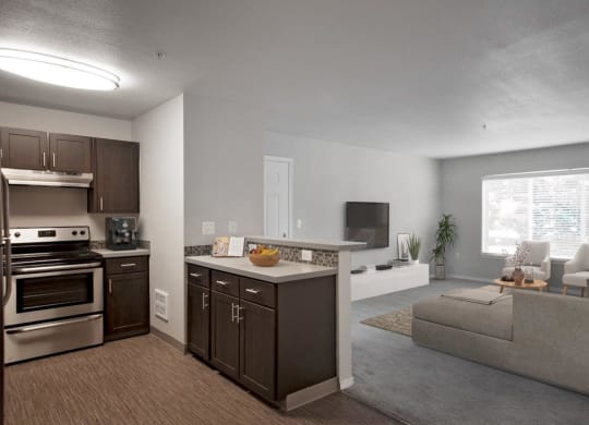Hanover Apartments Kitchen