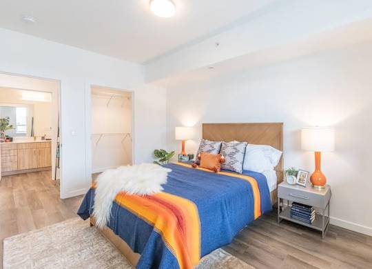 A bedroom with a bed covered in a blue and orange comforter.