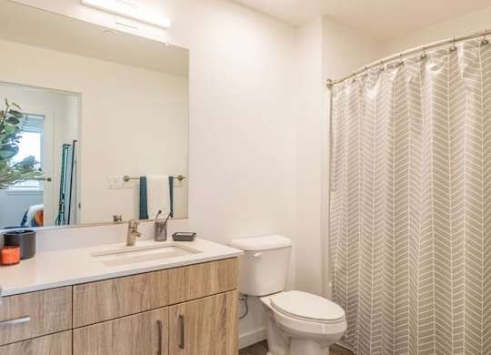 A bathroom with a white toilet, sink, and shower curtain.