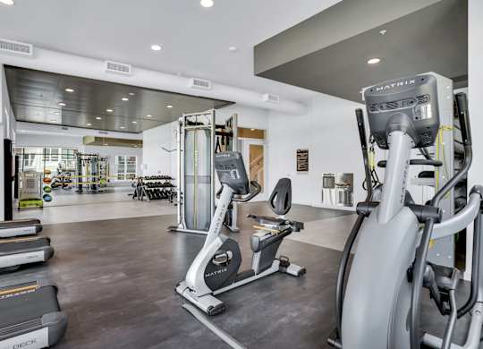 A gym with treadmills, elliptical machines and other exercise equipment.