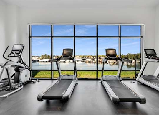 A gym with treadmills and elliptical machines with a view of the lake outside the window.