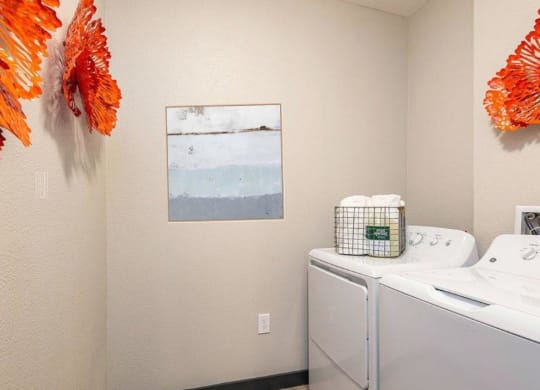 a washer and dryer in a room with a painting on the wall