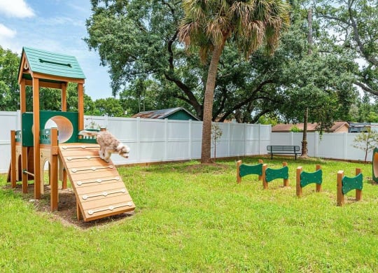 a cat playing on a wooden ramp in a backyard