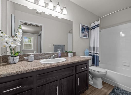 Hazel Ranch Apartments in Fair Oaks, California Model Bathroom