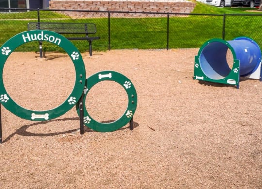 Hudson at Highline Apartments in Denver, Colorado Dog Park