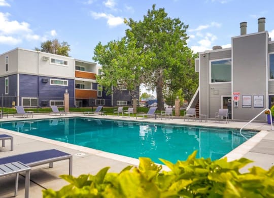 Hudson at Highline Apartments in Denver, Colorado Pool with Lounge Chairs