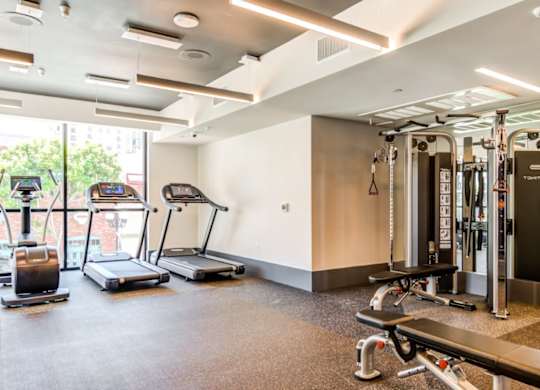 A gym with treadmills, elliptical machines, and weight machines.