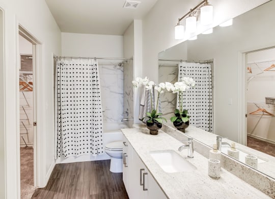 The Dylan bathroom