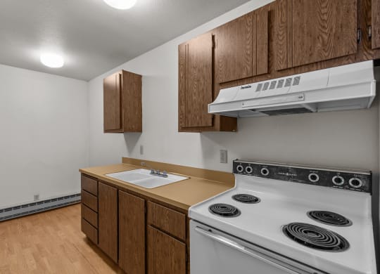an empty kitchen with a stove and a sink
