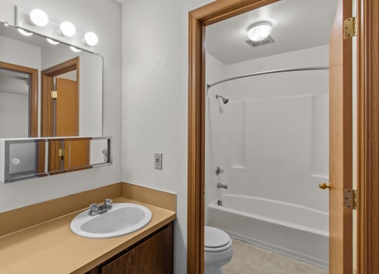 a bathroom with a shower sink and mirror and a toilet