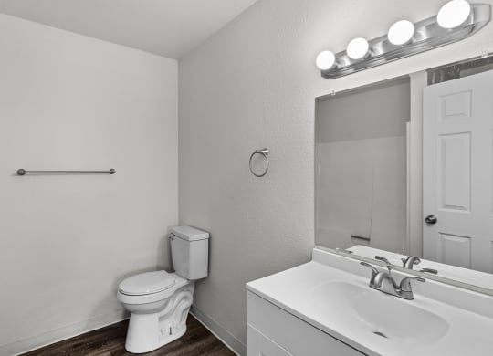 a bathroom with a toilet and a sink and a mirror