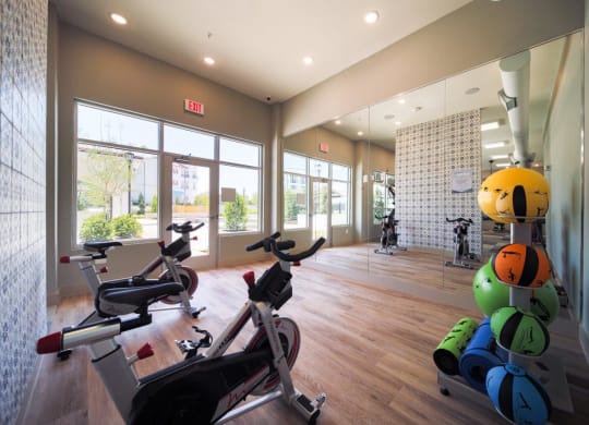 The Dylan gym