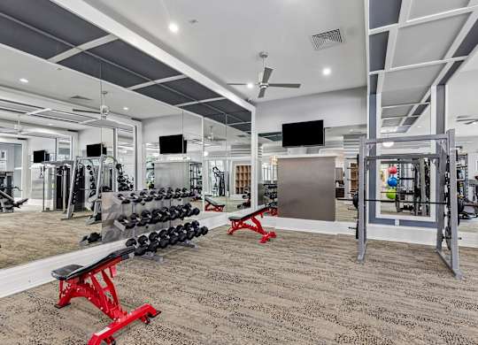 A gym with a variety of equipment including dumbbells, weight plates, and a bench press.