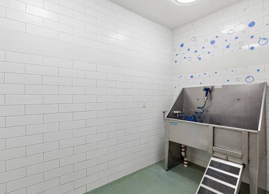 A white tiled wall with a stainless steel sink and a ladder.