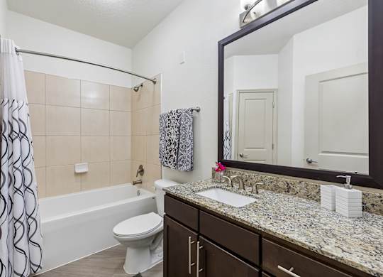 A bathroom with a white toilet, a bathtub with a shower curtain, a sink, and a mirror.