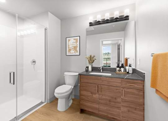 A bathroom with a toilet, sink, and mirror.