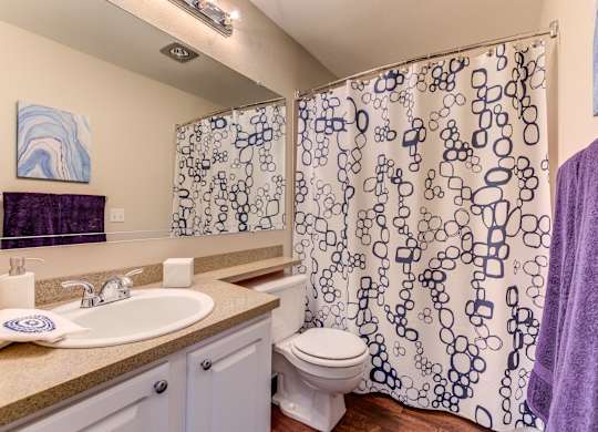 A bathroom with a toilet, sink, and shower curtain.