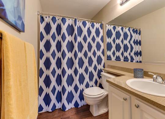 A bathroom with a blue and white shower curtain.