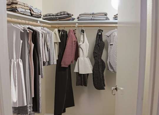 Spacious Closet at Lake Tower, Idaho