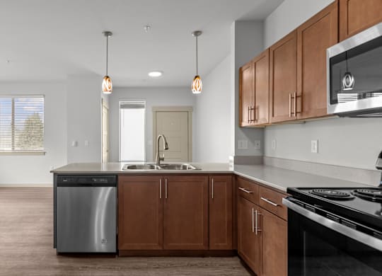 LarkViewVillage_Eugene_OR_1x1A_Kitchen