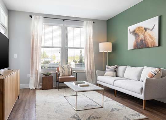 A living room with a grey couch, a coffee table, a television, and a painting of a bison on the wall.