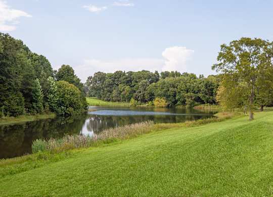 A serene landscape with a lake, trees, and a grassy field.